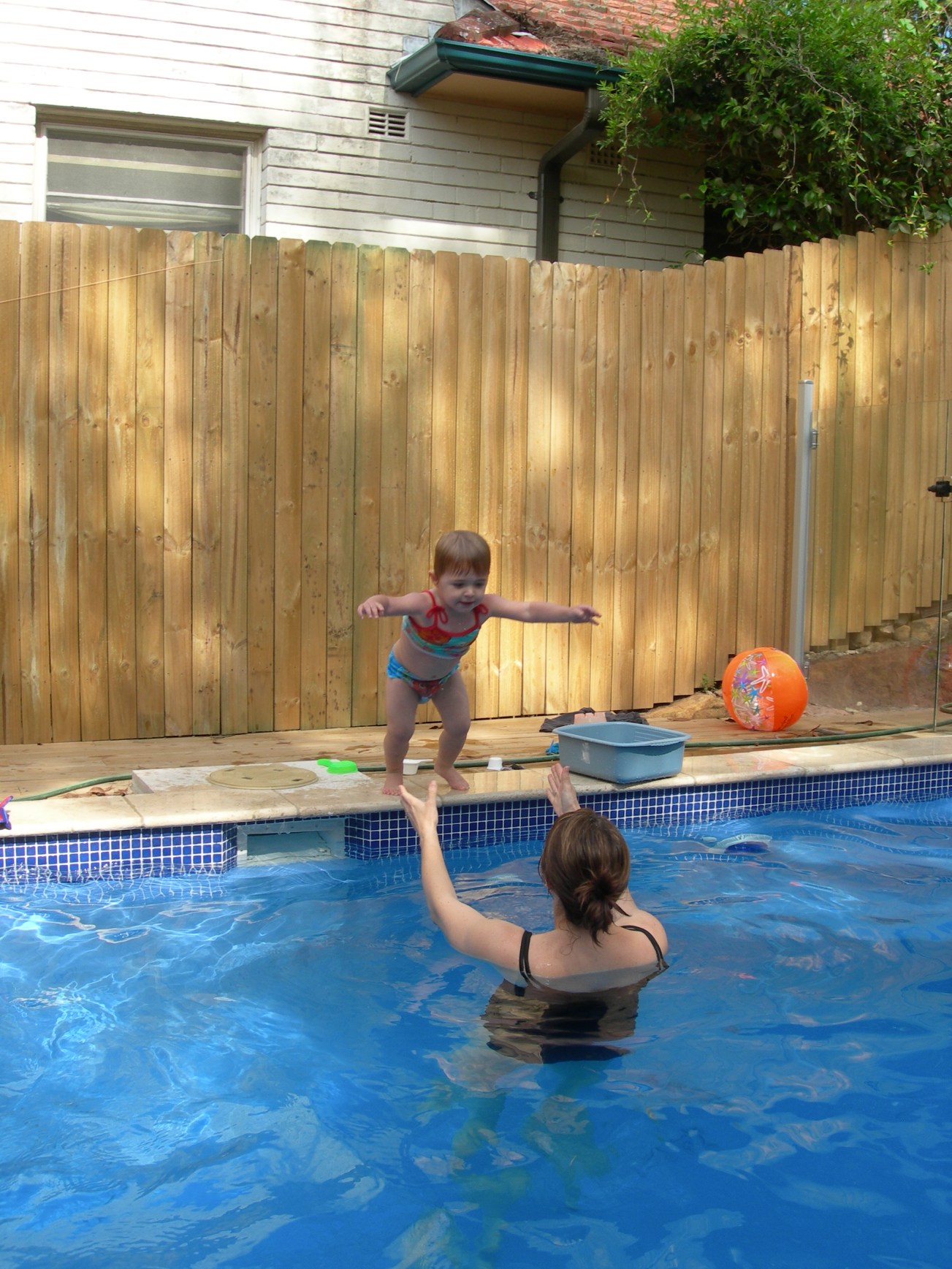 Crocodile crocodile.